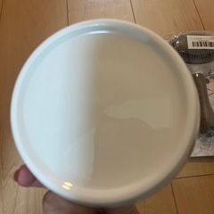 ペット用ブラッシングandフード皿の画像