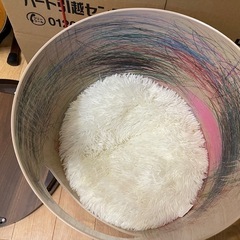 お譲り先決まりましたの画像