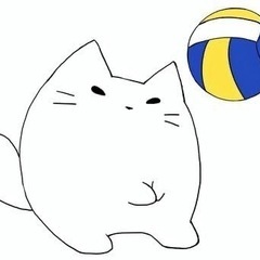 十勝でミニバレー仲間募集します！🏐