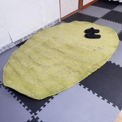 【定価41,800円】東リ　TOR3268ラグマット140×200cm全アクリルの画像