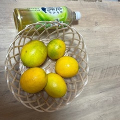 自家製レモンの画像