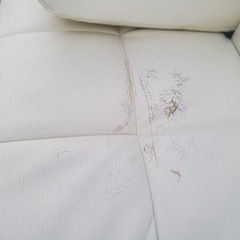 ソファベッドの画像