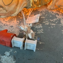 1つ¥2800‼️ ✨Kurt Adler✨クリスマスholiday 🎄デコレーション装飾雑貨オーナメント🍉プロフ必読の画像