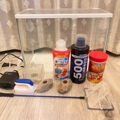 金魚、メダル、飼育セット