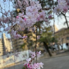 スマホで素敵な風景写真を撮りたい人募集中 - 友達