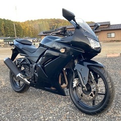 佐賀県のニンジャ バイクの中古が安い！激安で譲ります・無料であげます｜ジモティー