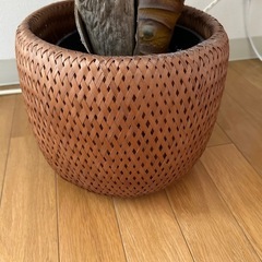 ニトリ購入フェイクグリーン✖️2の画像