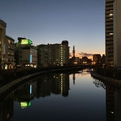 お散歩でリフレッシュ🌟