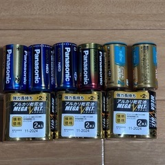 単二電池12本セット