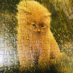 猫絵画パズル完成品