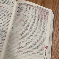 今日の治療薬　2017の画像