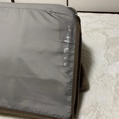 【引渡決定】
カジュアルソファの画像
