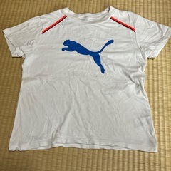 プーマ140
