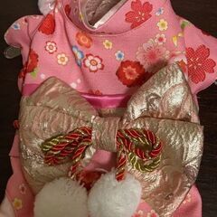 犬用の着物&ショール　２セットの画像