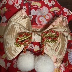 犬用の着物&ショール　２セットの画像