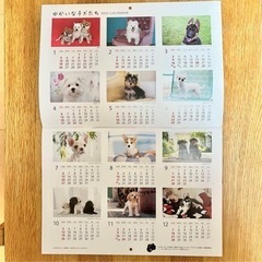 ソニー生命　非売品　子犬カレンダーの画像