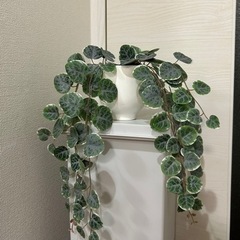 IKEA フェイクグリーン(人工観葉植物)