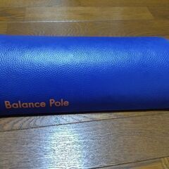 運動ボール約1kg ✕ 2個セット　バランスポール付の画像