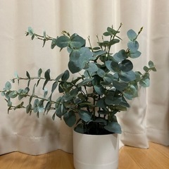 IKEA フェイクグリーン(人工観葉植物)
