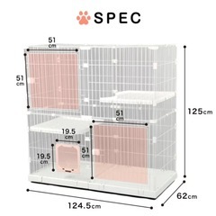 1才半のおてんばな男の子 - 猫