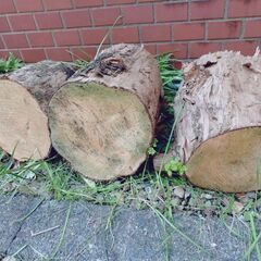 薪 全部まとめての画像