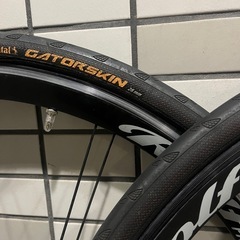 Rolf PRIMA VIGOR FX  走行200km未満の画像