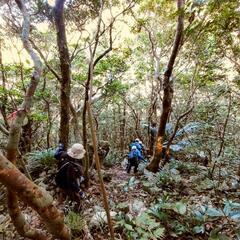 登山チャレンジしたい人～募集中。行ってみたい山があれば、一緒に登りませんか？    - 浦添市