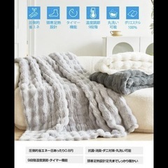 ✨新品✨　グレー　フランネル　電気毛布　温度調整　タイマー　100×160の画像