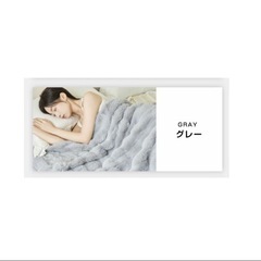 ✨新品✨　グレー　フランネル　電気毛布　温度調整　タイマー　100×160の画像