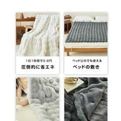 ✨新品✨　グレー　フランネル　電気毛布　温度調整　タイマー　100×160の画像