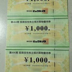 ビックカメラ優待券 3000円分 2025/05/31期限