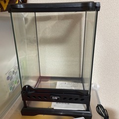 グラステラリウムの中古が安い!激安で譲ります・無料であげます グラステラリウムの中古が安い!激安で譲ります・無料であげます