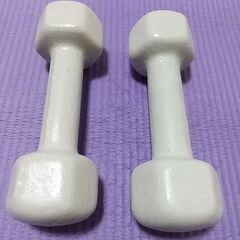 【特価】ダンベル 鉄アレイ 2kg 2個セット