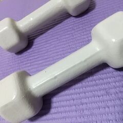 【特価】ダンベル 鉄アレイ 2kg 2個セットの画像