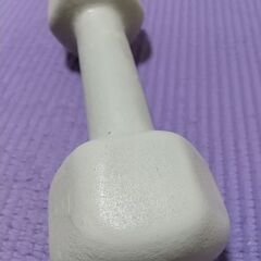 【特価】ダンベル 鉄アレイ 2kg 2個セットの画像