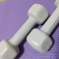 【特価】ダンベル 鉄アレイ 2kg 2個セットの画像