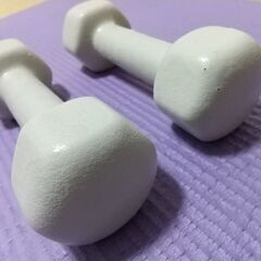 【特価】ダンベル 鉄アレイ 2kg 2個セットの画像