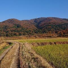 登山