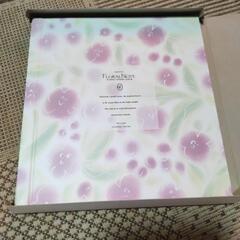 アルバム   さくら草