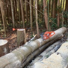 千葉外房で薪ストーブ用やキャンプ用の薪作り仲間募集