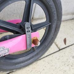 ストライダーの画像