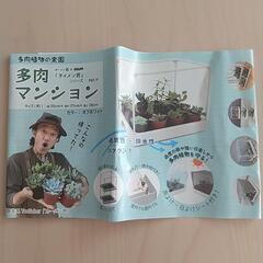 多肉植物用の棚　2個セット+多肉植物1個つき