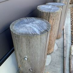 杉丸の中古が安い！激安で譲ります・無料であげます｜ジモティー