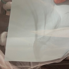 電動バウンサーの画像