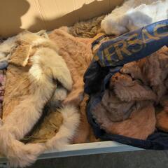 📢毛皮 まとめ売り🧸の画像