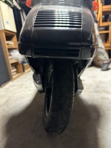 ヒュージョン250