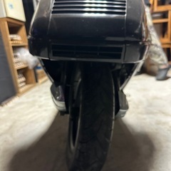 ヒュージョン250の画像