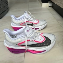 Newシリーズ　NIKE ズームフライ6