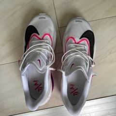 Newシリーズ　NIKE ズームフライ6の画像