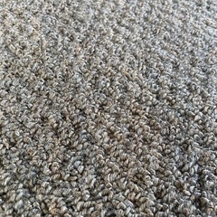 【お譲り先決まりました！】あげます！防音カーペット50枚！の画像